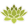 Зеленый цветок лотоса