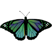 Бабочка чёрно-зелёного цвета