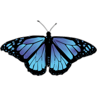 Бабочка чёрно-голубого цвета