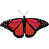 Бабочка черно-красно-малинового цвета