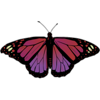 Бабочка чёрно-сиренево-мвлинового цвета