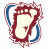 Логотип Colorado Avalanche - Колорадо Эвеланш