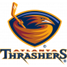 Логотип Atlanta Thrashers - Атланта Трэшерз