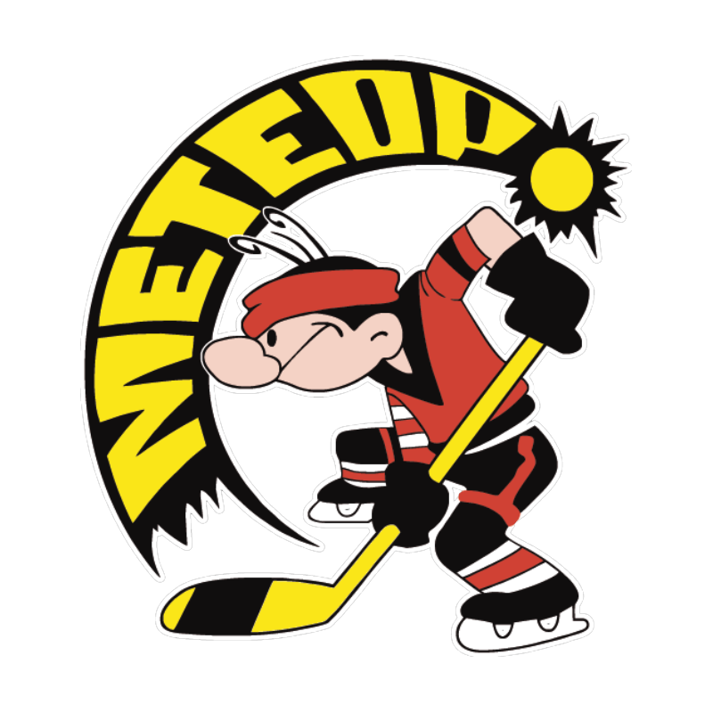 Детские хк. Метеор хоккейный клуб. Эмблема Метеор хоккей. Метеор логотип хоккейной команды. Команда Метеор хоккей.